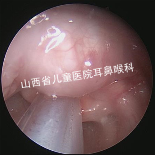 微信图片_202007091305572.jpg