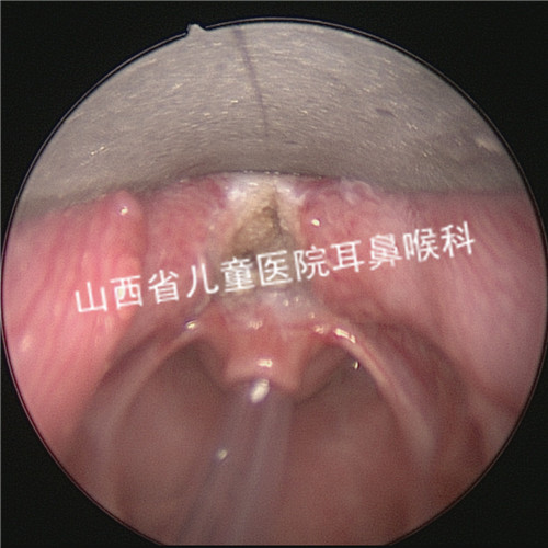 微信图片_202007091305573.jpg