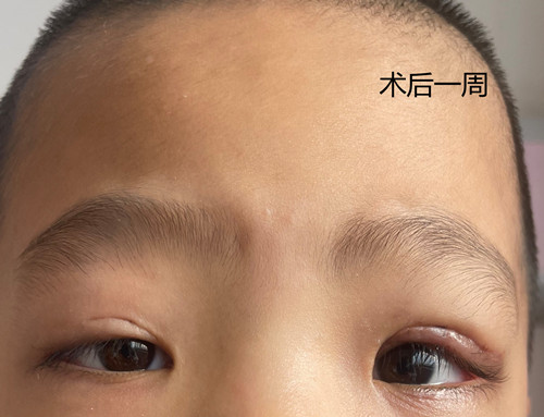 微信图片_20250821170148_副本.jpg